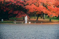 a person and a dog standing in a park